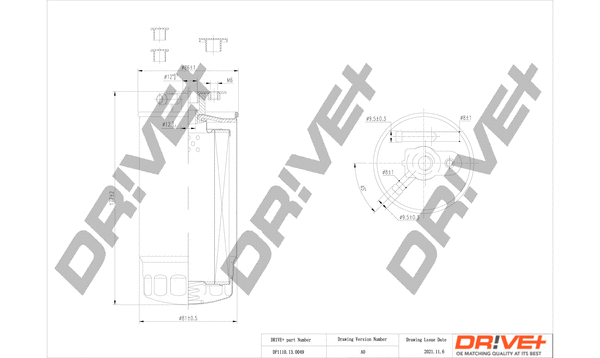 Fuel Filter (DP1110.13.0049)