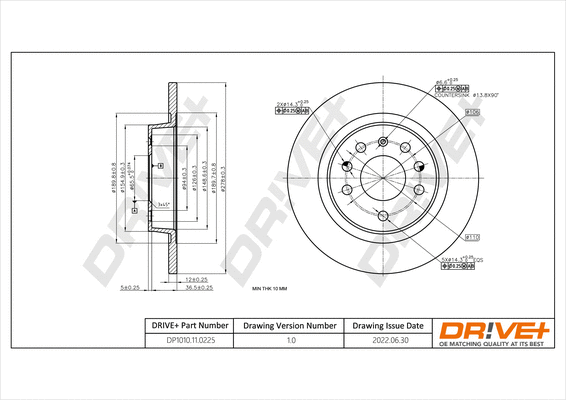 Brake Disc (DP1010.11.0225)