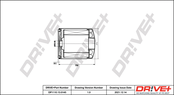 Fuel Filter (DP1110.13.0145)