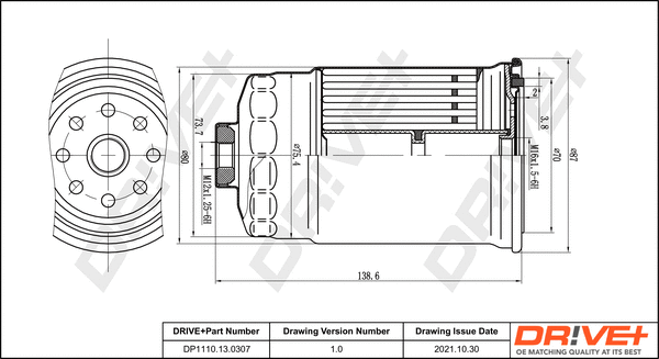 Fuel Filter (DP1110.13.0307)