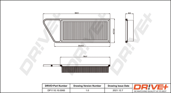 Air Filter (DP1110.10.0065)
