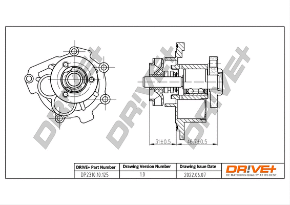 Water Pump, engine cooling (DP2310.10.125)