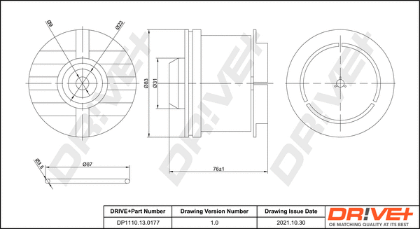Fuel Filter (DP1110.13.0177)