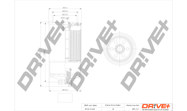 Fuel Filter (DP1110.13.0124)