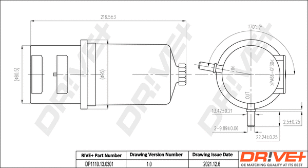 Fuel Filter (DP1110.13.0301)