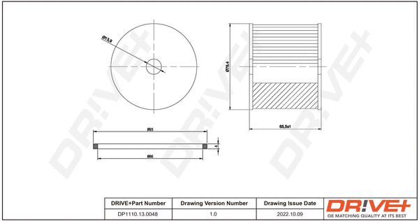 Fuel Filter (DP1110.13.0048)