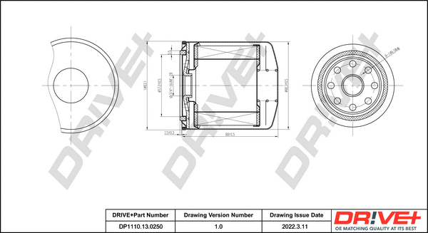 Fuel Filter (DP1110.13.0250)