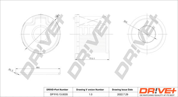 Fuel Filter (DP1110.13.0035)