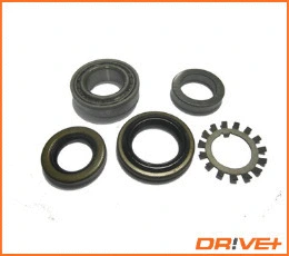 Wheel Bearing Kit (DP2010.10.0565)
