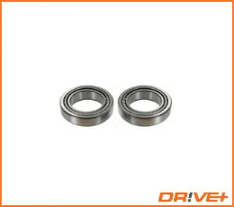 Wheel Bearing Kit (DP2010.10.0620)