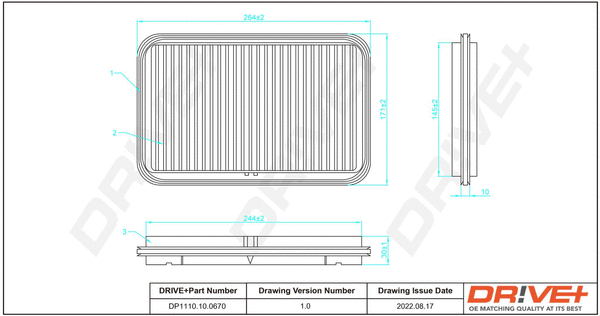 Air Filter (DP1110.10.0670)