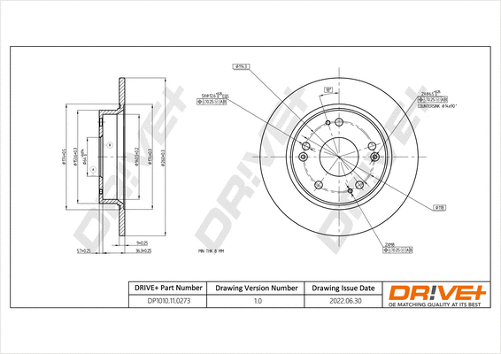 Brake Disc (DP1010.11.0273)