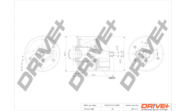 Fuel Filter (DP1110.13.0091)