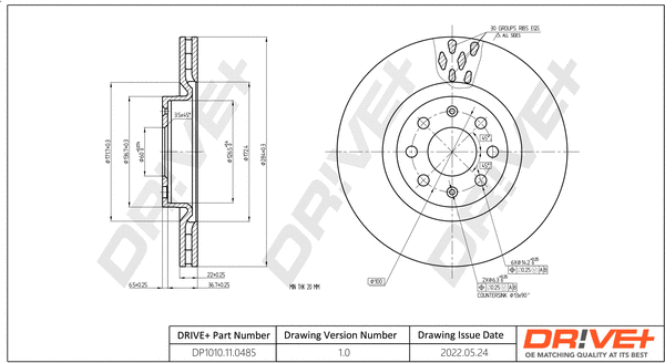 Brake Disc (DP1010.11.0485)