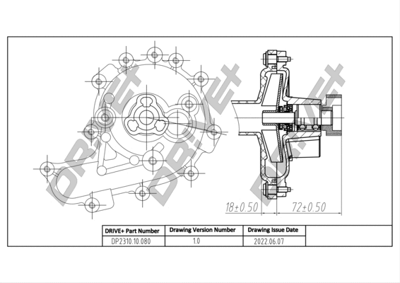 Water Pump, engine cooling (DP2310.10.080)