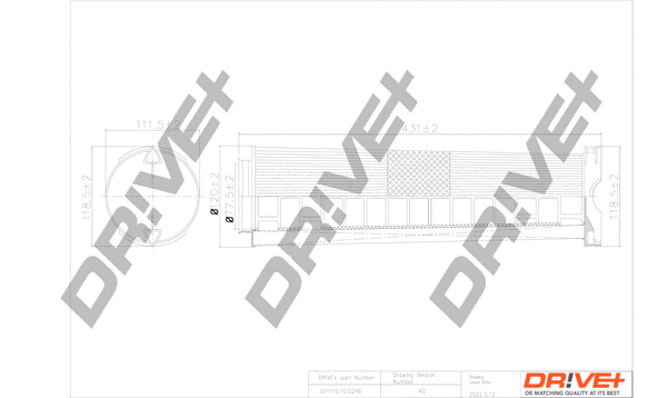 Air Filter (DP1110.10.0246)