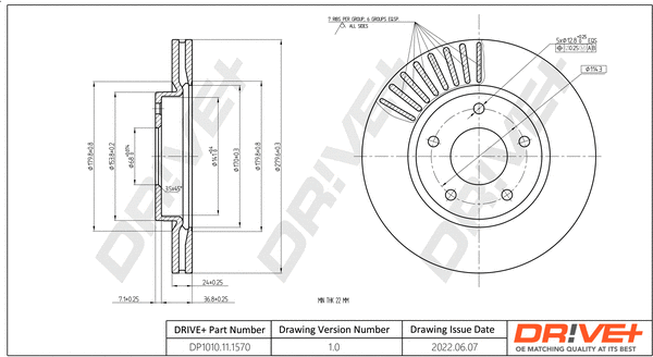 Brake Disc (DP1010.11.1570)