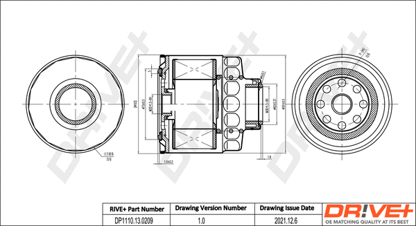 Fuel Filter (DP1110.13.0209)