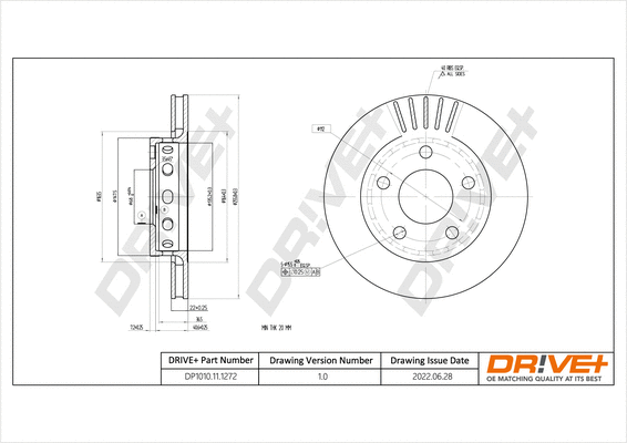 Brake Disc (DP1010.11.1272)
