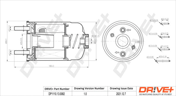 Fuel Filter (DP1110.13.0082)