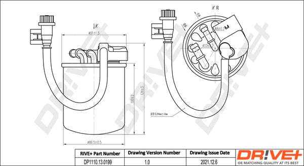 Fuel Filter (DP1110.13.0199)
