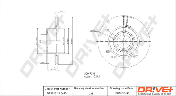 Brake Disc (DP1010.11.0443)