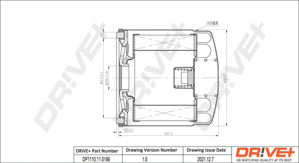 Oil Filter (DP1110.11.0166)