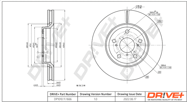 Brake Disc (DP1010.11.1666)