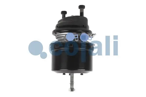 Spring-loaded Cylinder (2251516)