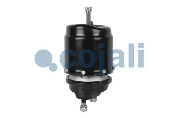 Spring-loaded Cylinder