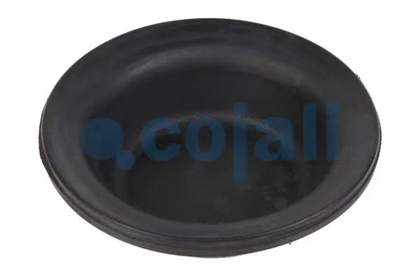 Membrane, spring-loaded cylinder (6001102)