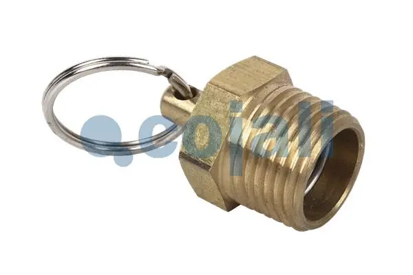 Water Drain Valve (2208403)