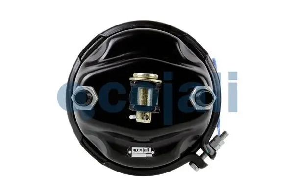 Spring-loaded Cylinder