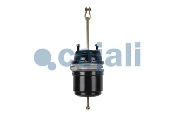 Spring-loaded Cylinder