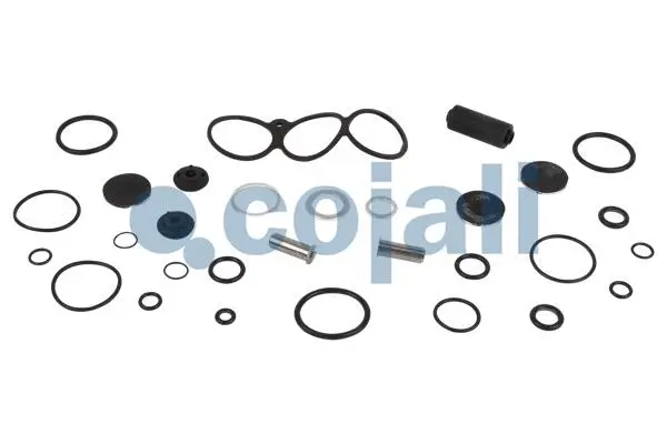 Repair Kit, air spring valve (6012207)