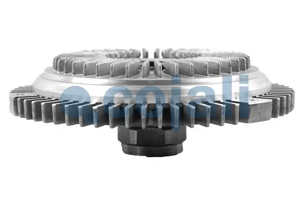 Clutch, radiator fan