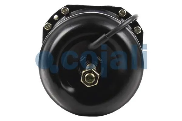 Spring-loaded Cylinder