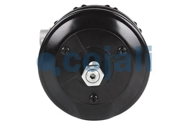 Spring-loaded Cylinder