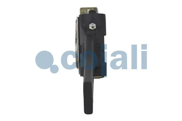 Adjuster, braking system