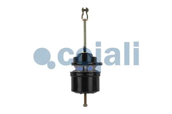 Spring-loaded Cylinder (2251503)