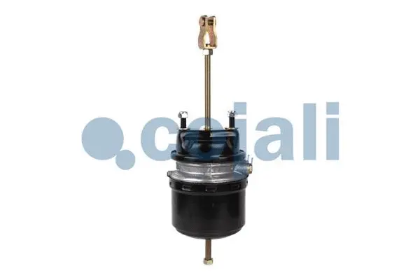 Spring-loaded Cylinder