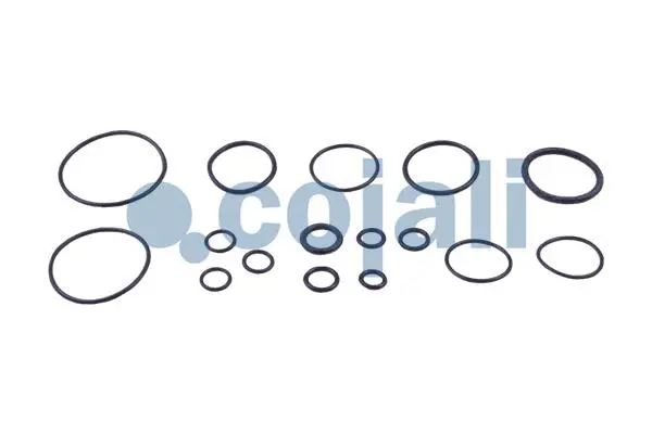 Repair Kit, clutch booster