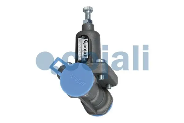 Overflow Valve (2406013)