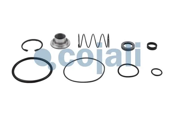 Repair Kit, relay valve (6012156)