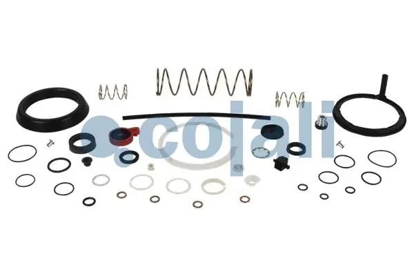 Repair Kit, clutch booster (6032135)