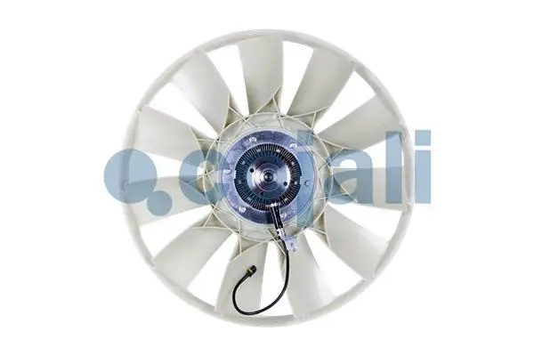 Fan, engine cooling