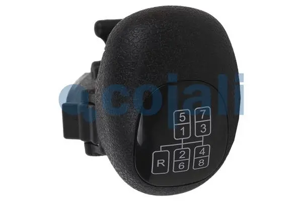 Gear Shift Lever Knob