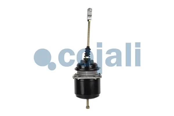 Spring-loaded Cylinder