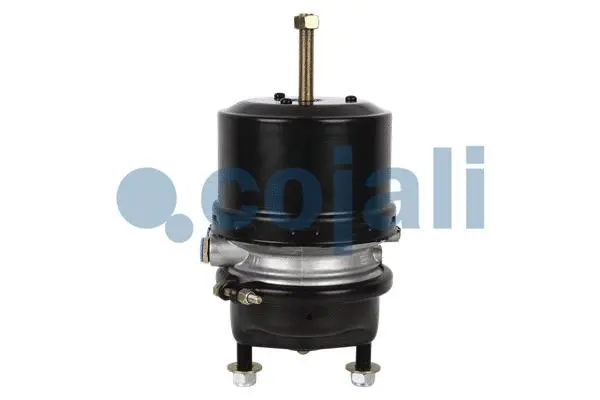 Spring-loaded Cylinder