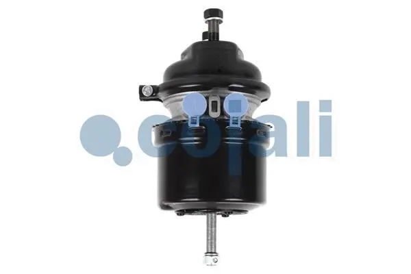 Spring-loaded Cylinder (2251532)